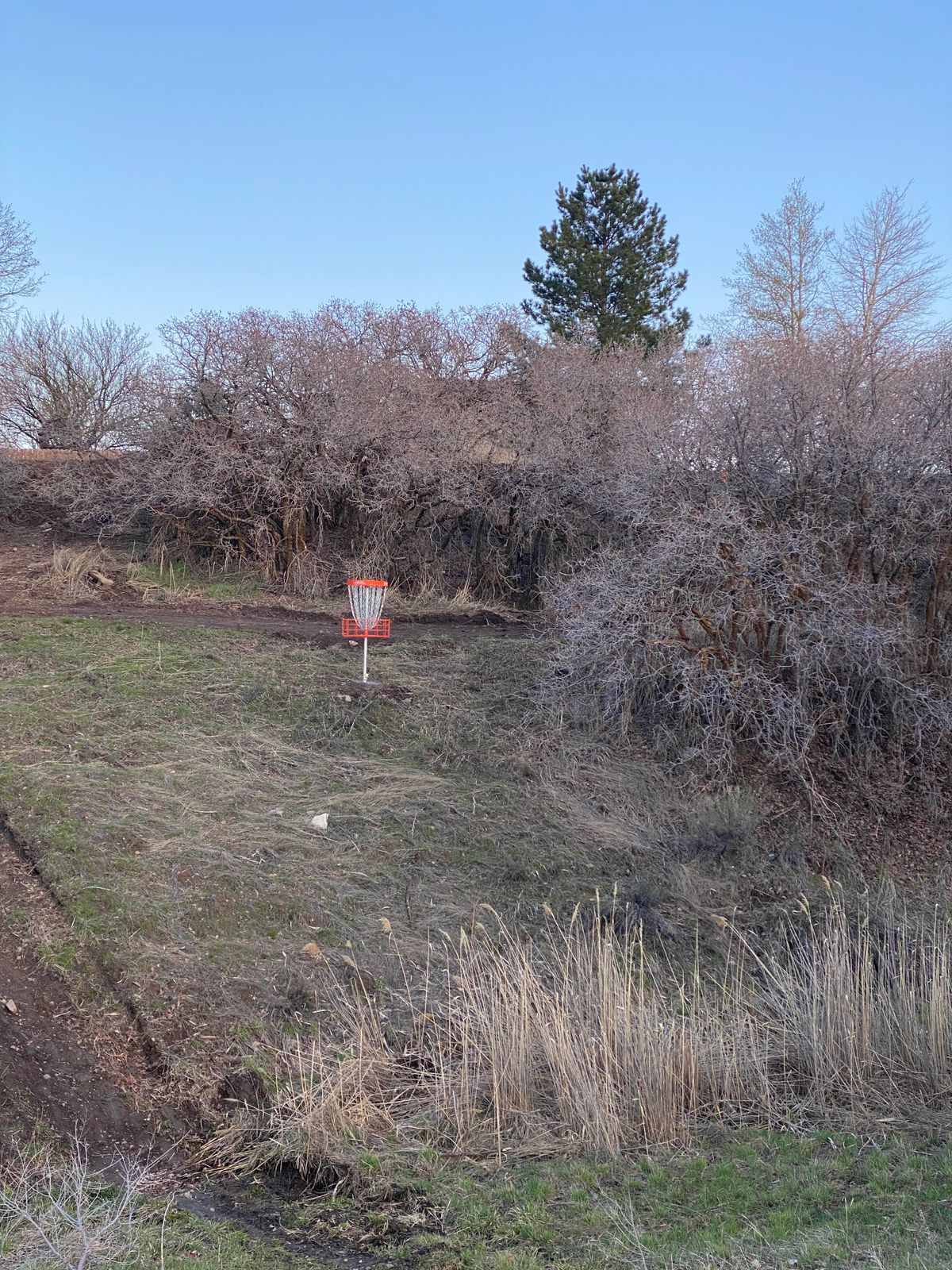 Hole 8 as seen from hole 3