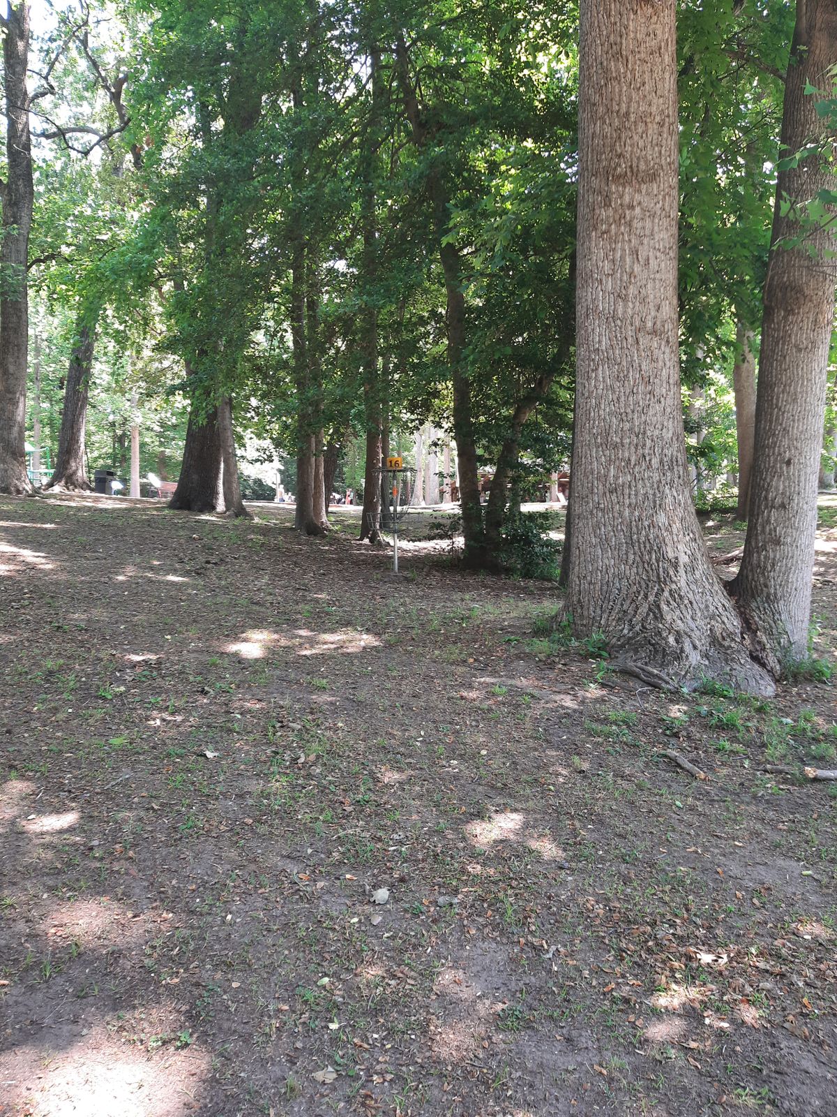 Hole 16 Approach