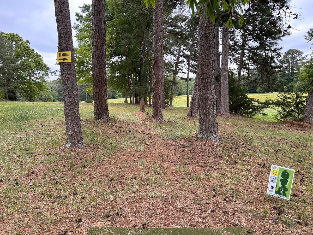 Hole 11 from the tee