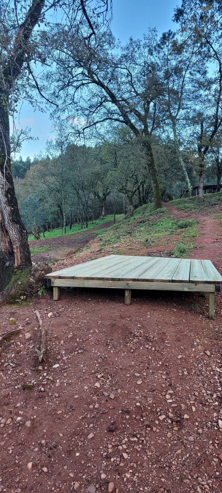 Hole 6 Blue Tee