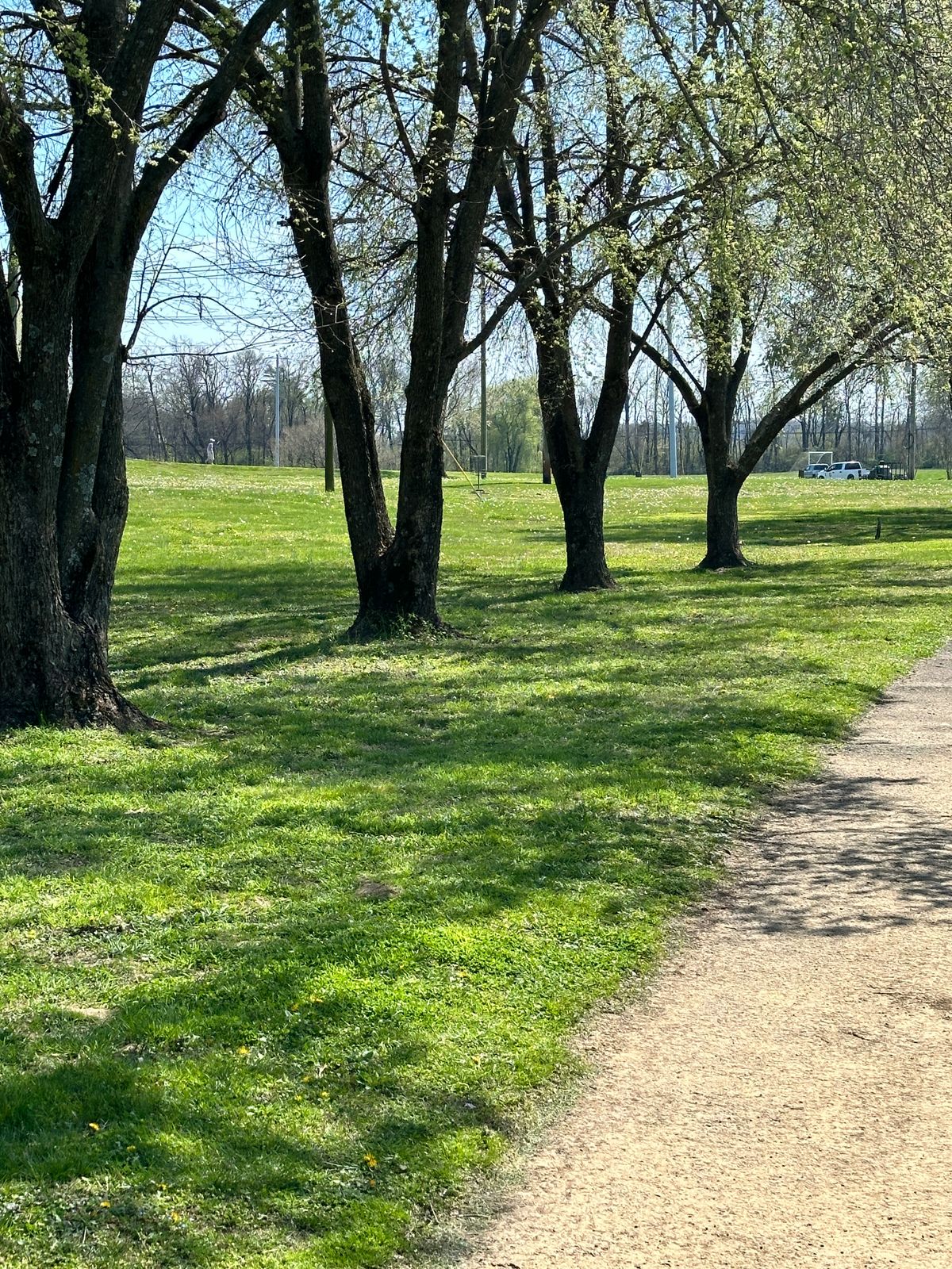 Hole 5
