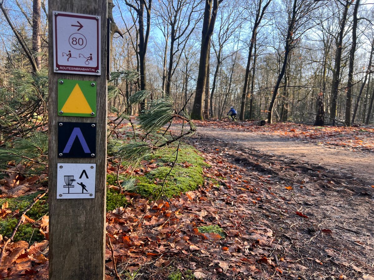 Trail signs with disc golf directions are a great touch