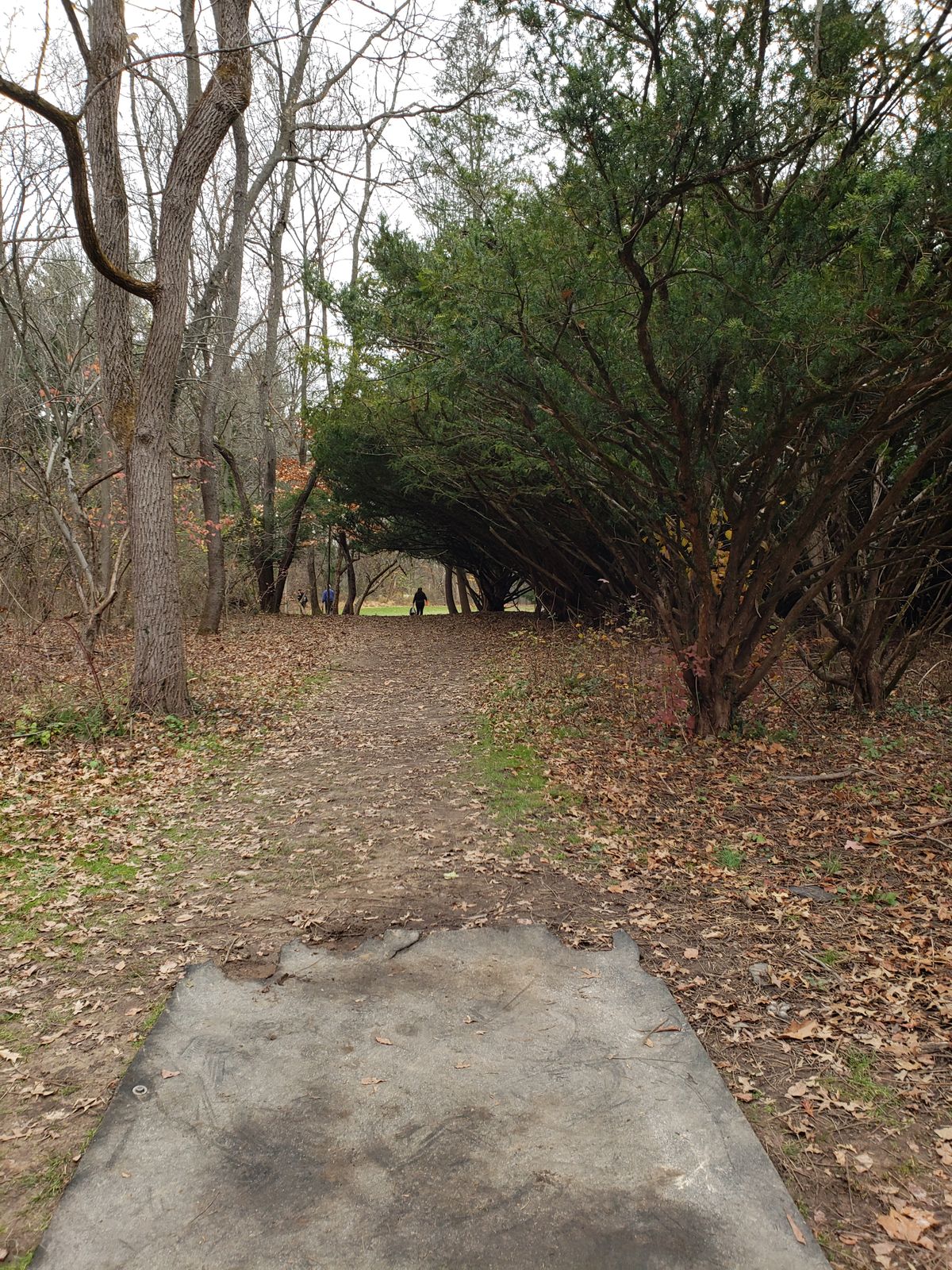 Hole 8 tee shot