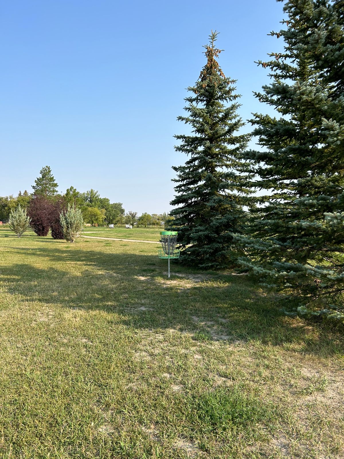 Hole 5