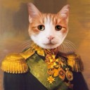 User avatar image
