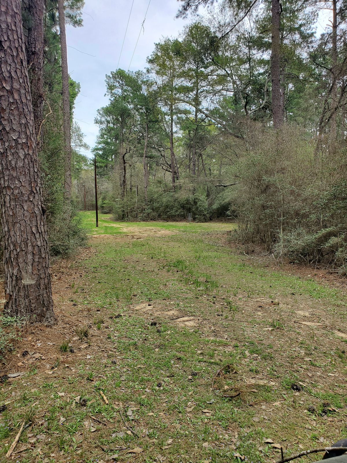 Hole 13 approach