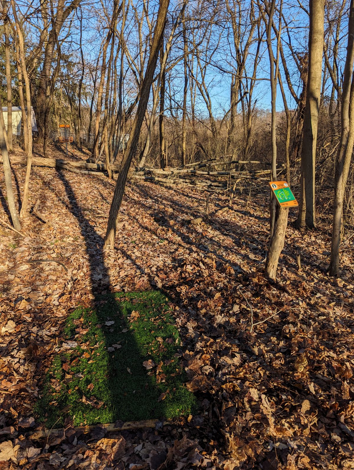 Freedom Farms Putt Patch