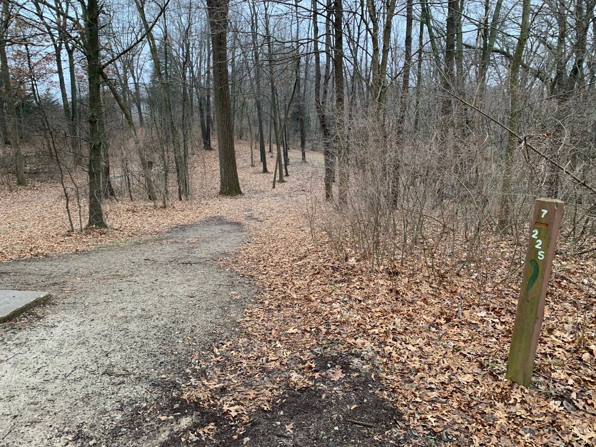 Hole 7
