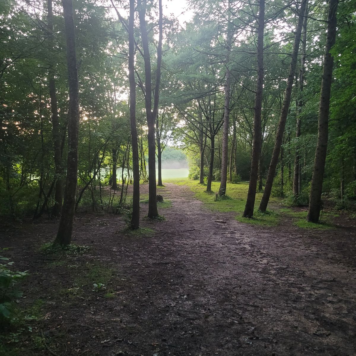 Hole 4 tunnel