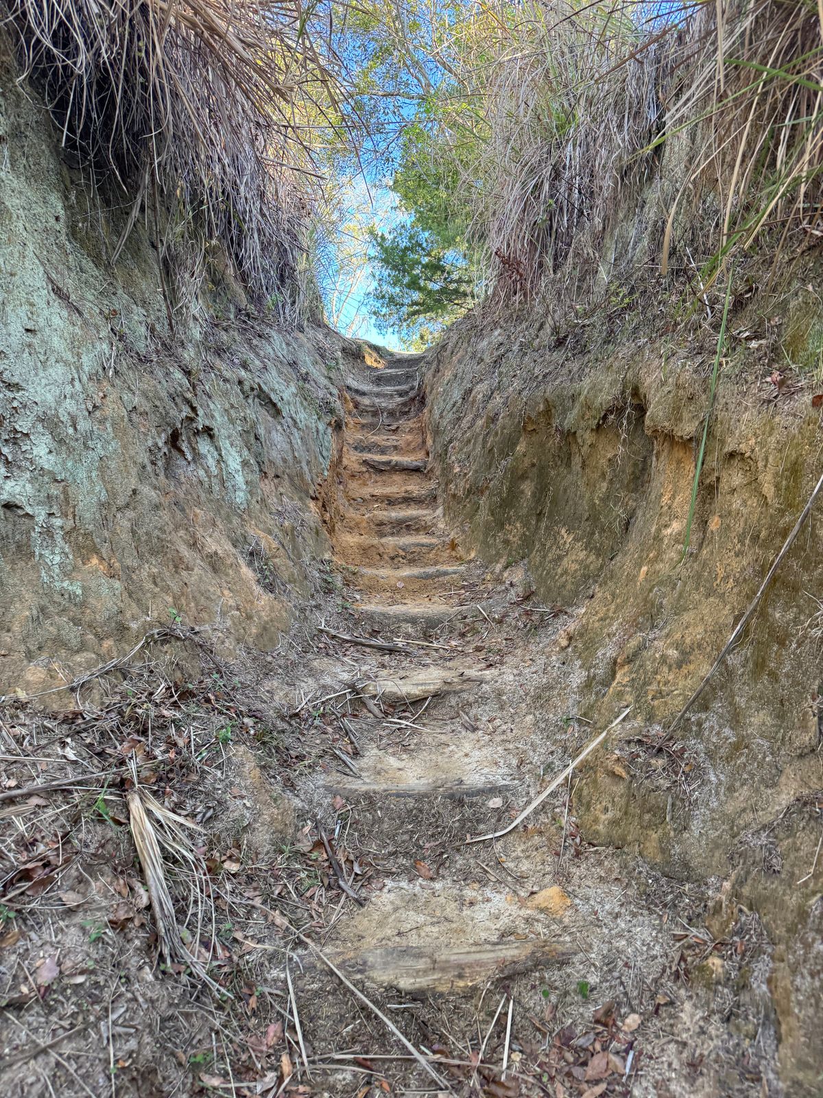 Awesome walkways
