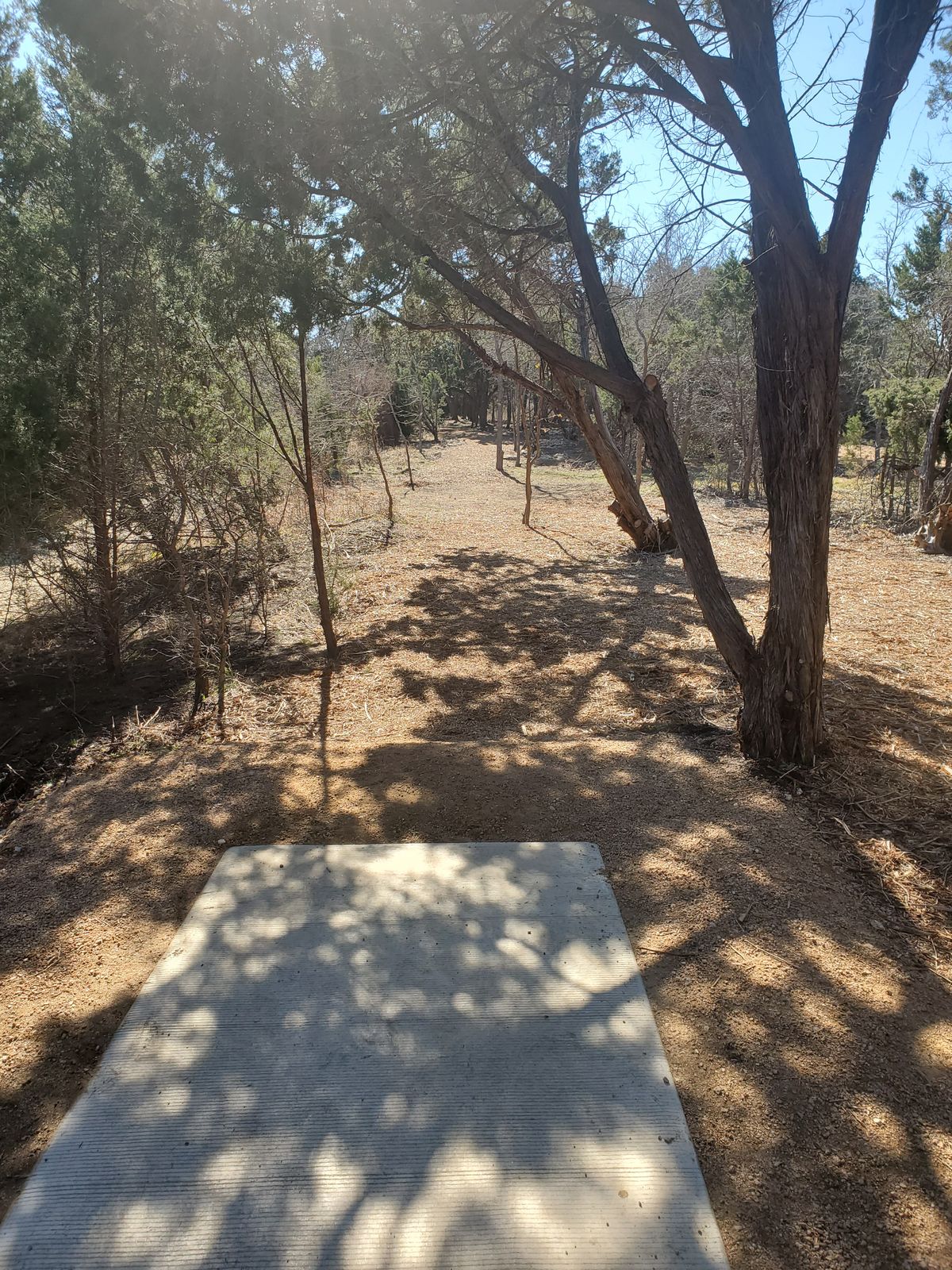 Hole 5