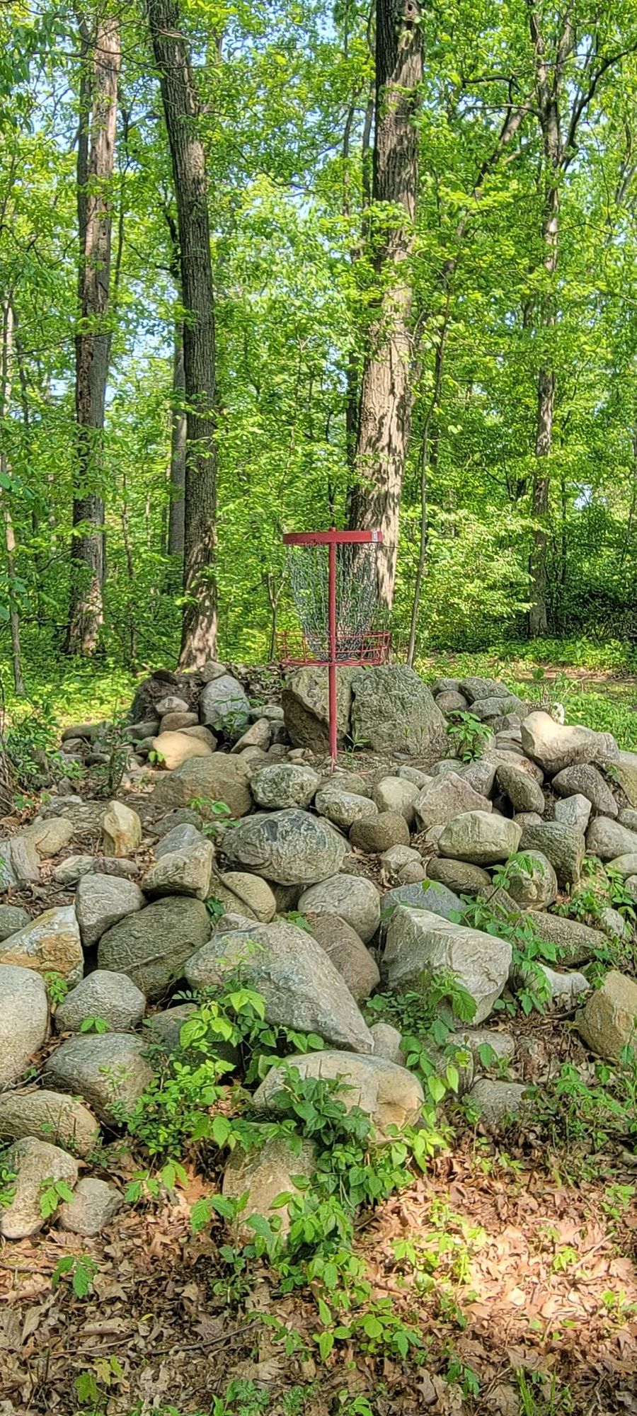 Hole 13's rocky green