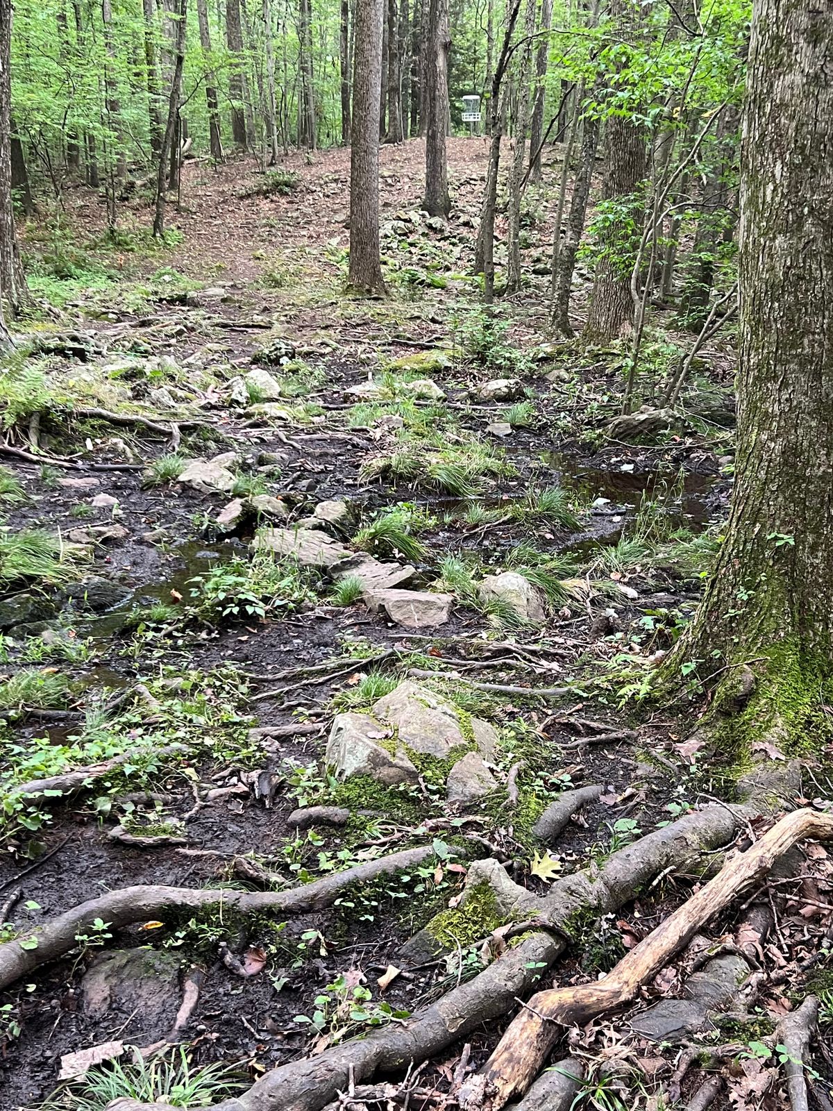 Some areas can be a little wet