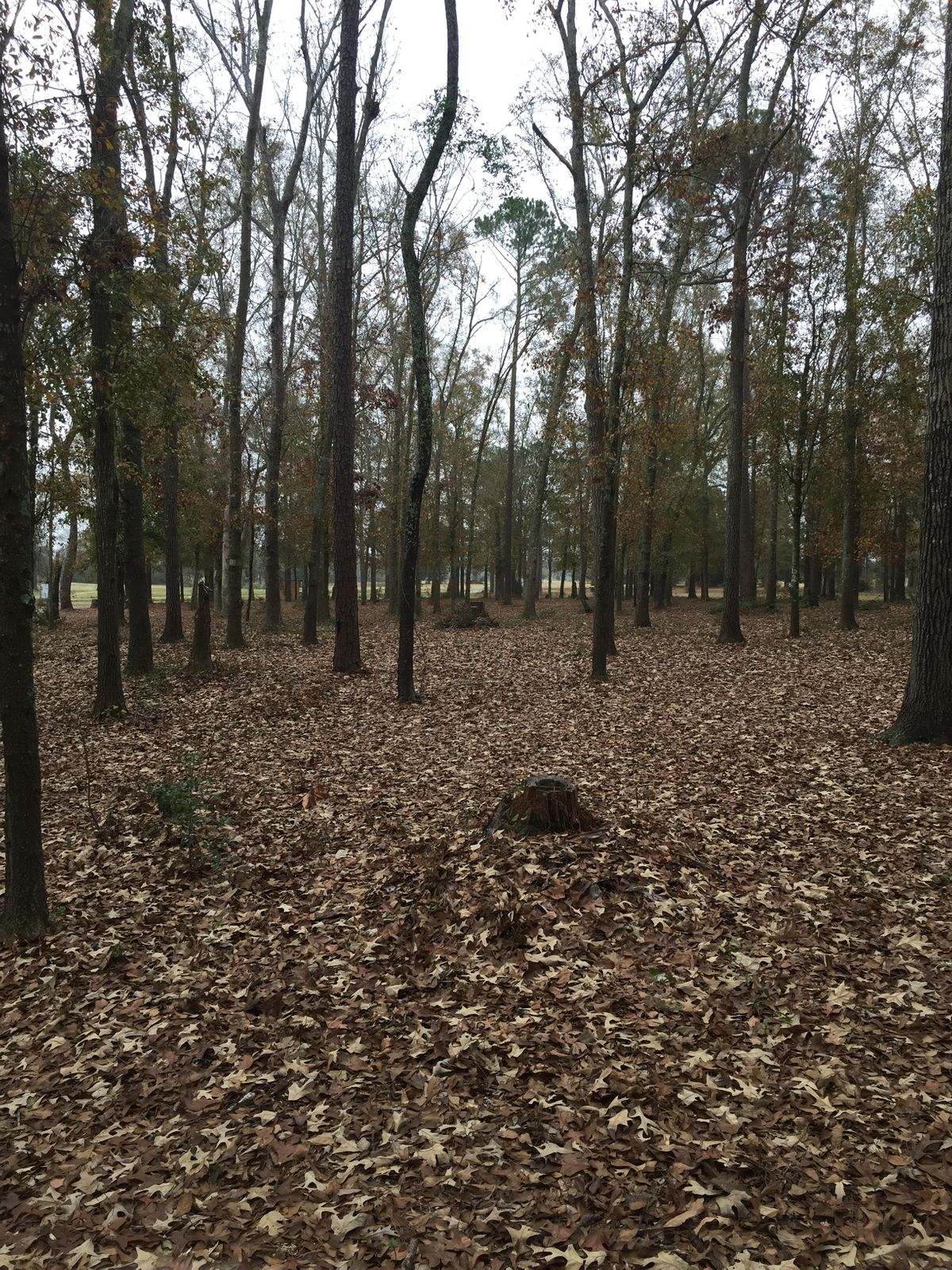 Hole 1