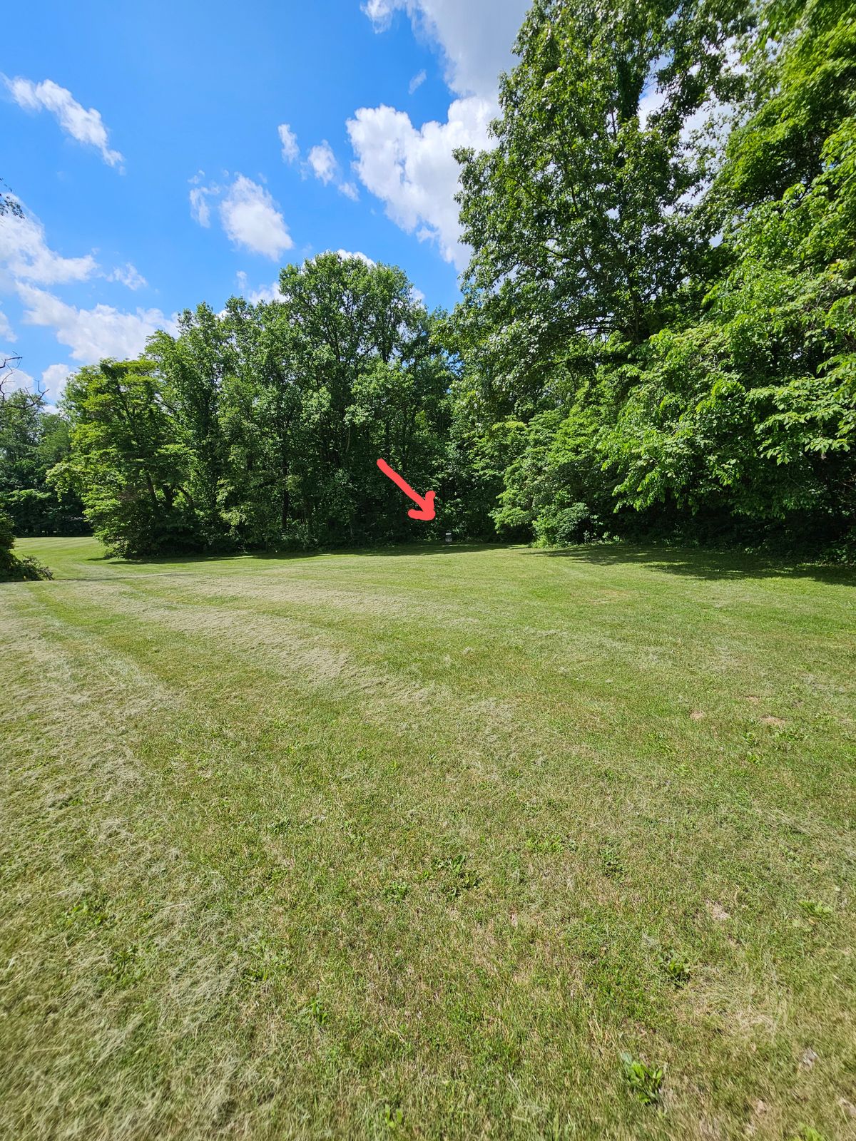 Hole 7 basket