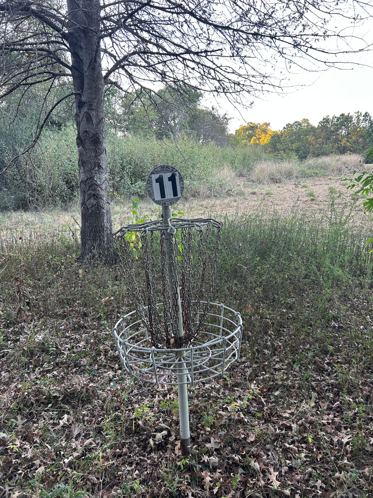 11