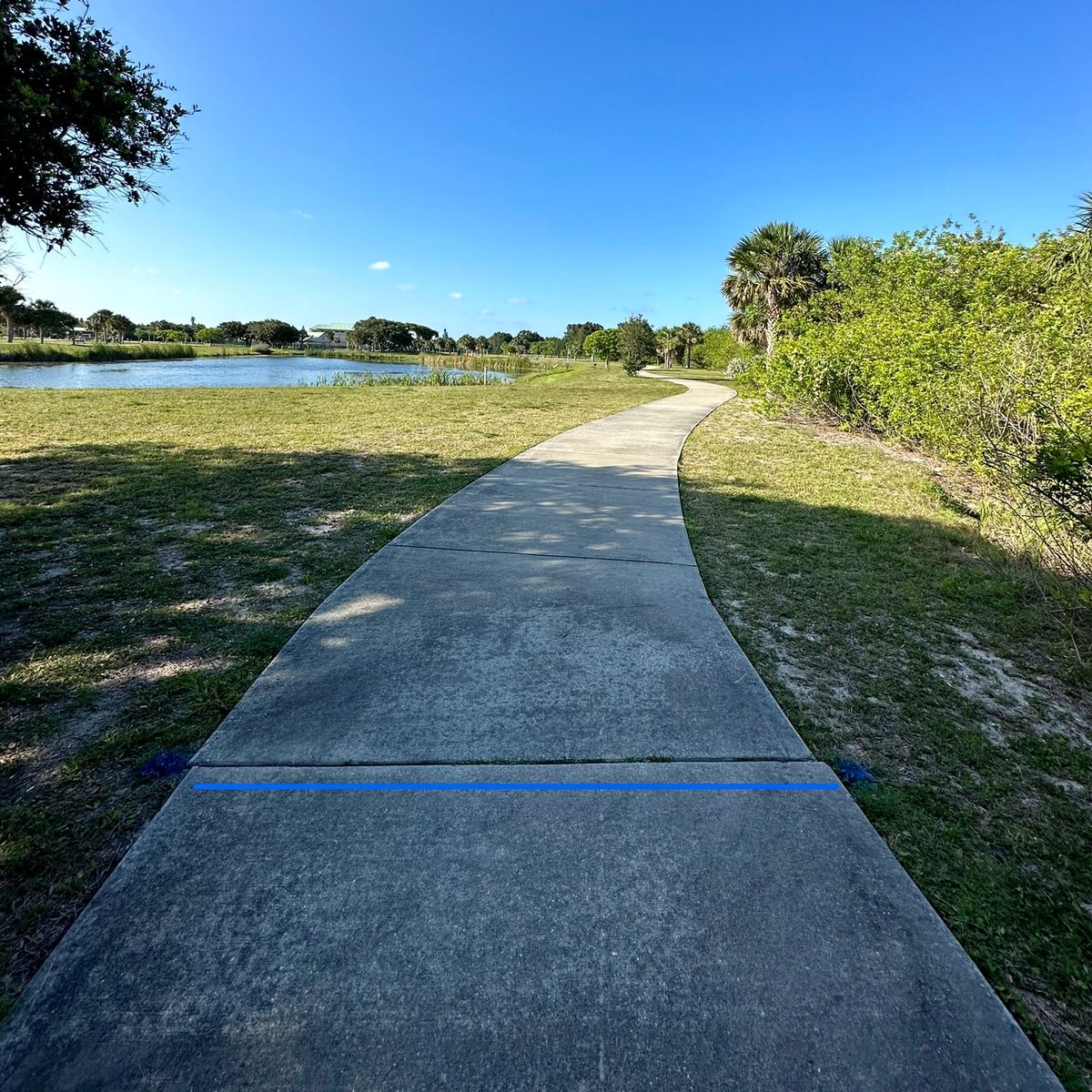 Hole 6 Blue temp pad. This will be relocated once we clear some brush for actual tee location.