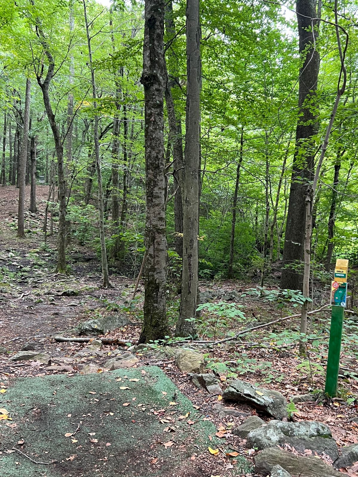 Hole #8