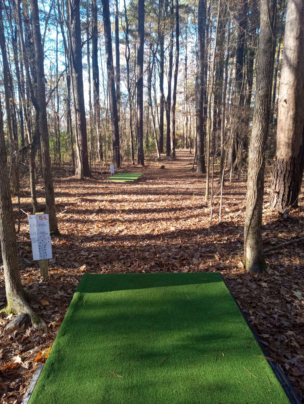 Hole #7 long pad
