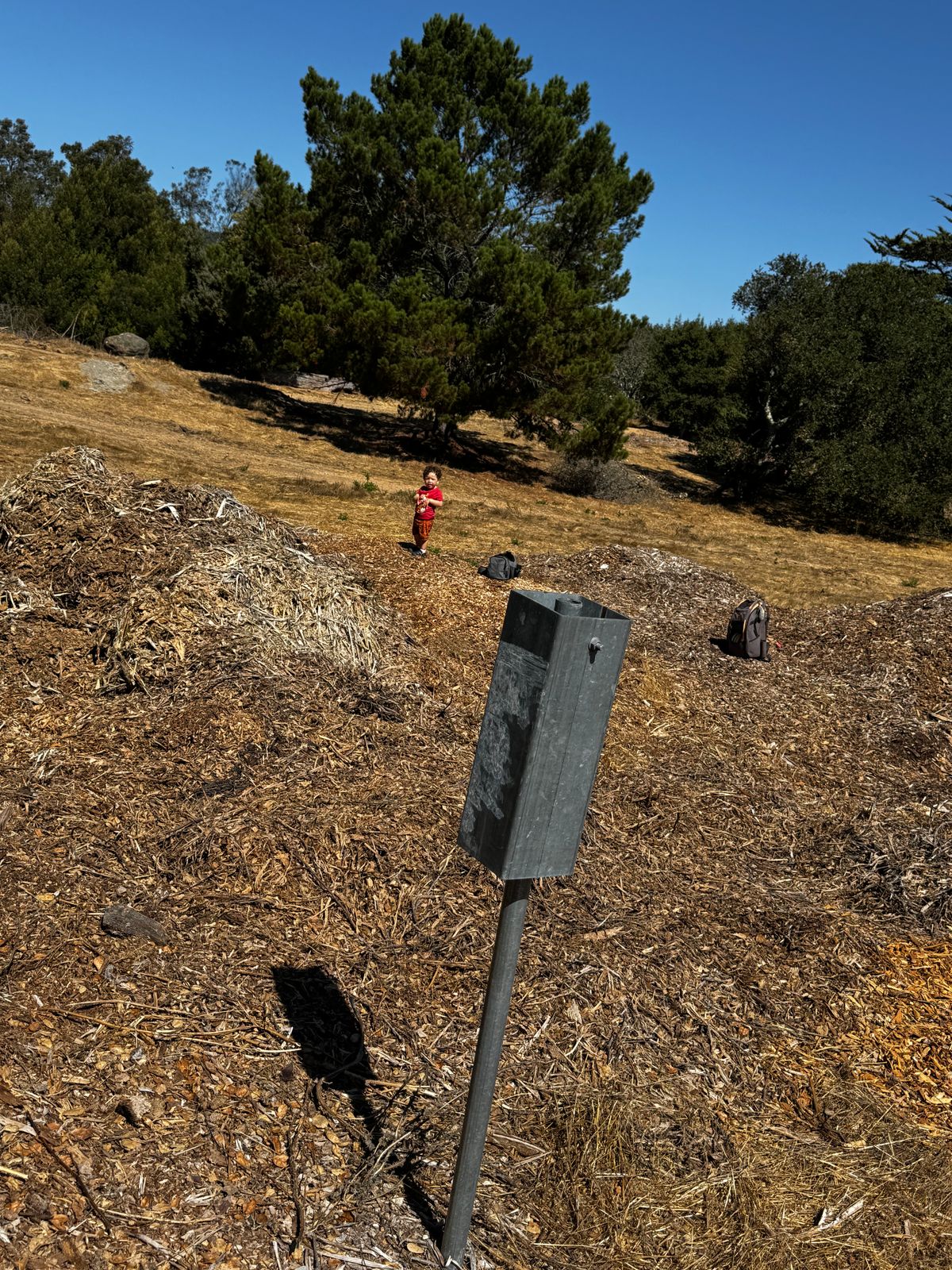 Tone Poles