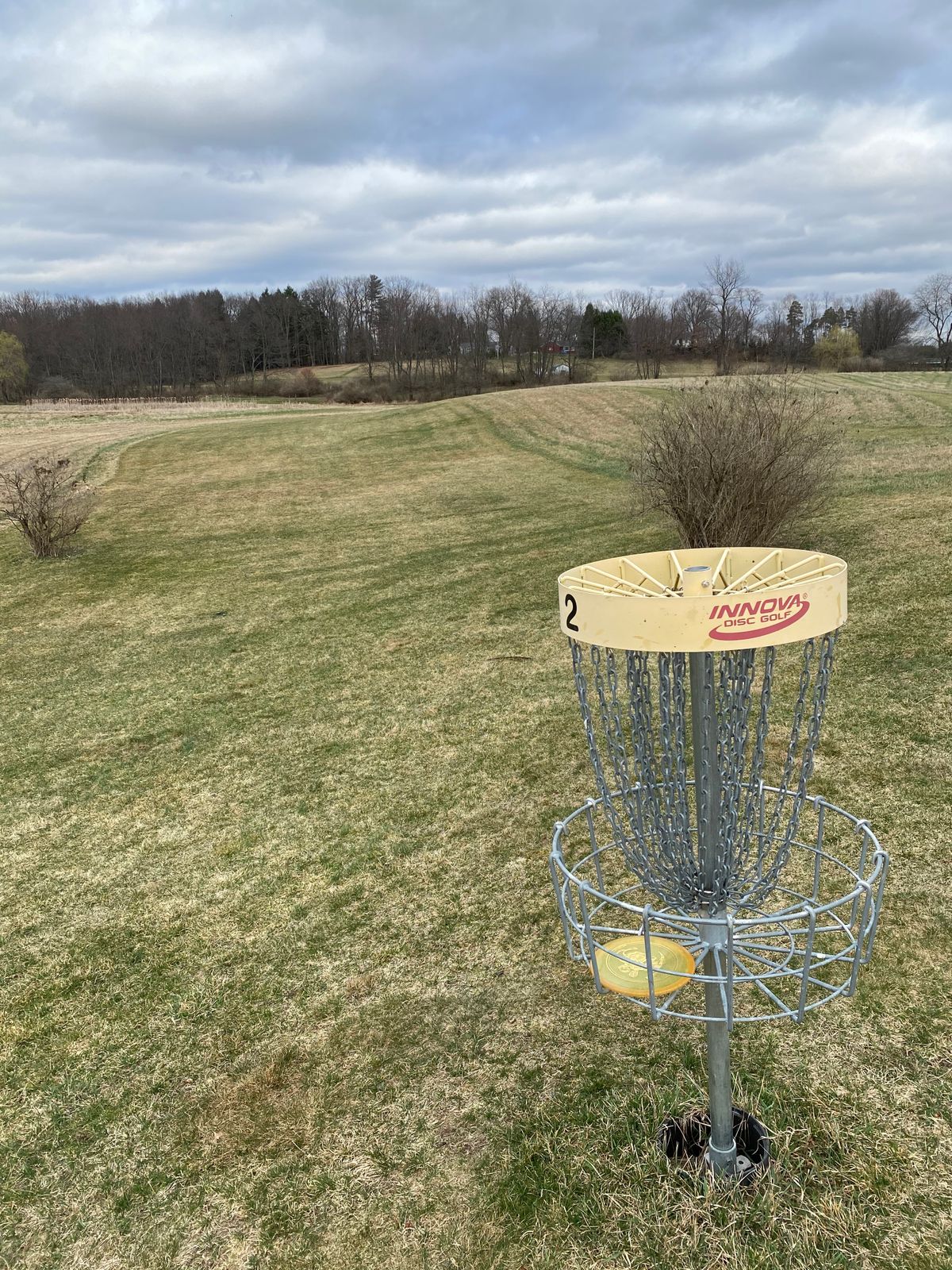 Hole 2 basket