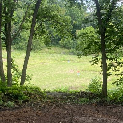 Hole 6 short