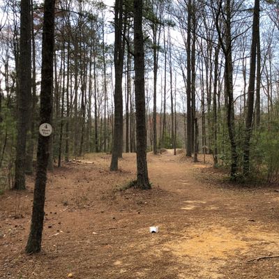 Hole 4
