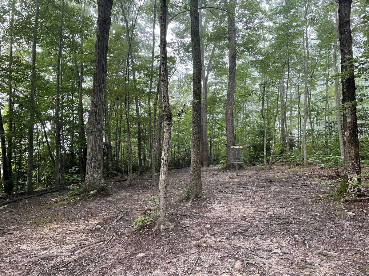 Hole 1 basket