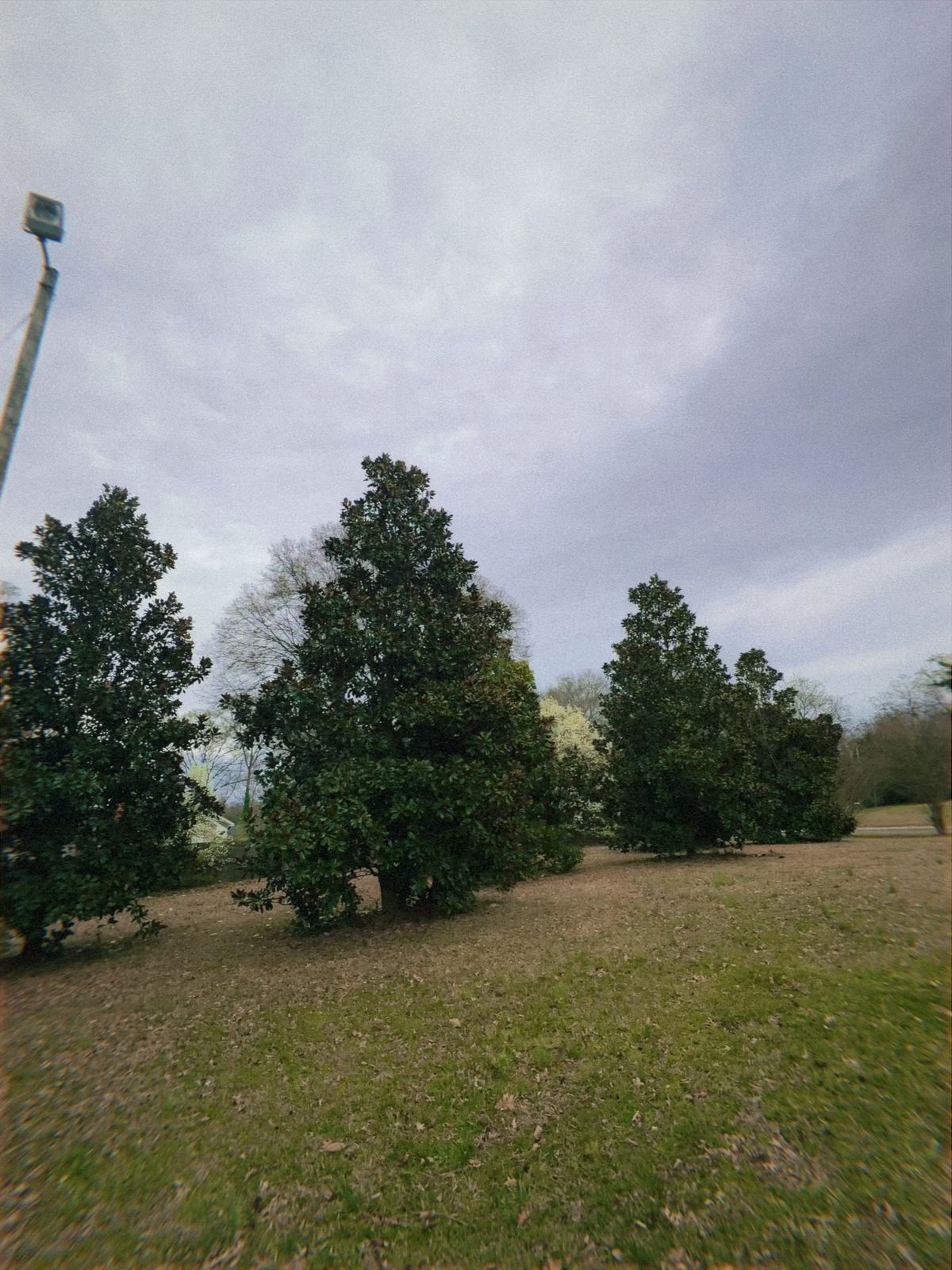 Hole 4 fairway looking back towards the tee