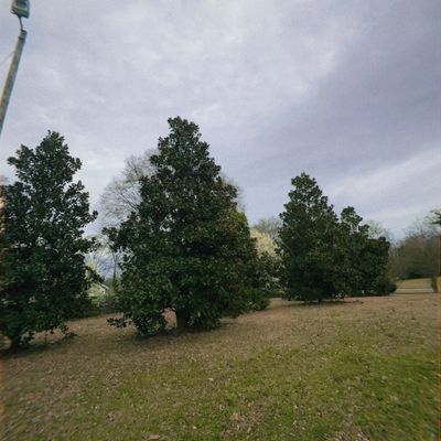 Hole 4 fairway looking back towards the tee