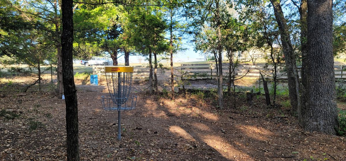 Hole 7 basket