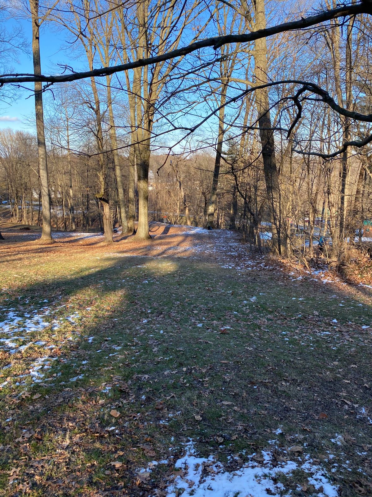 Hole 11s basket from middle of the fairway