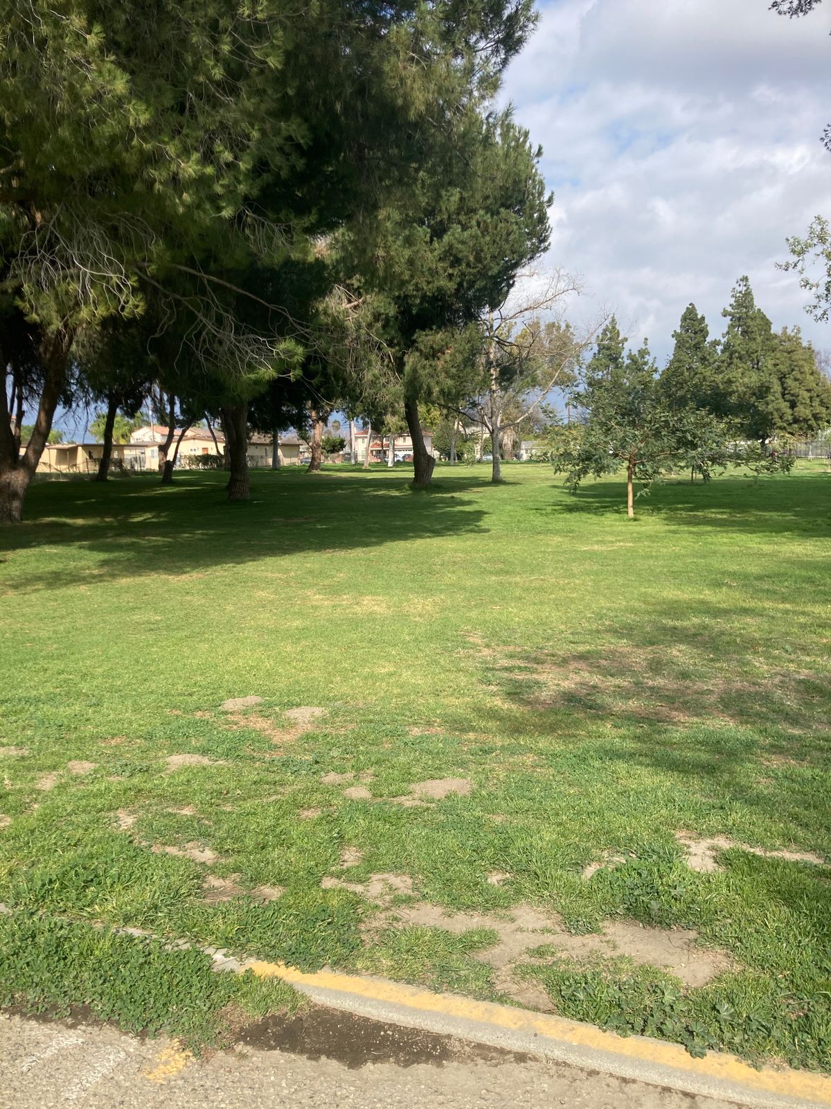 Hole #24