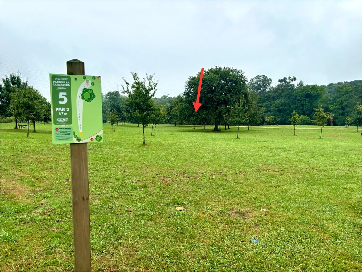 #5 / basket location (arrow)