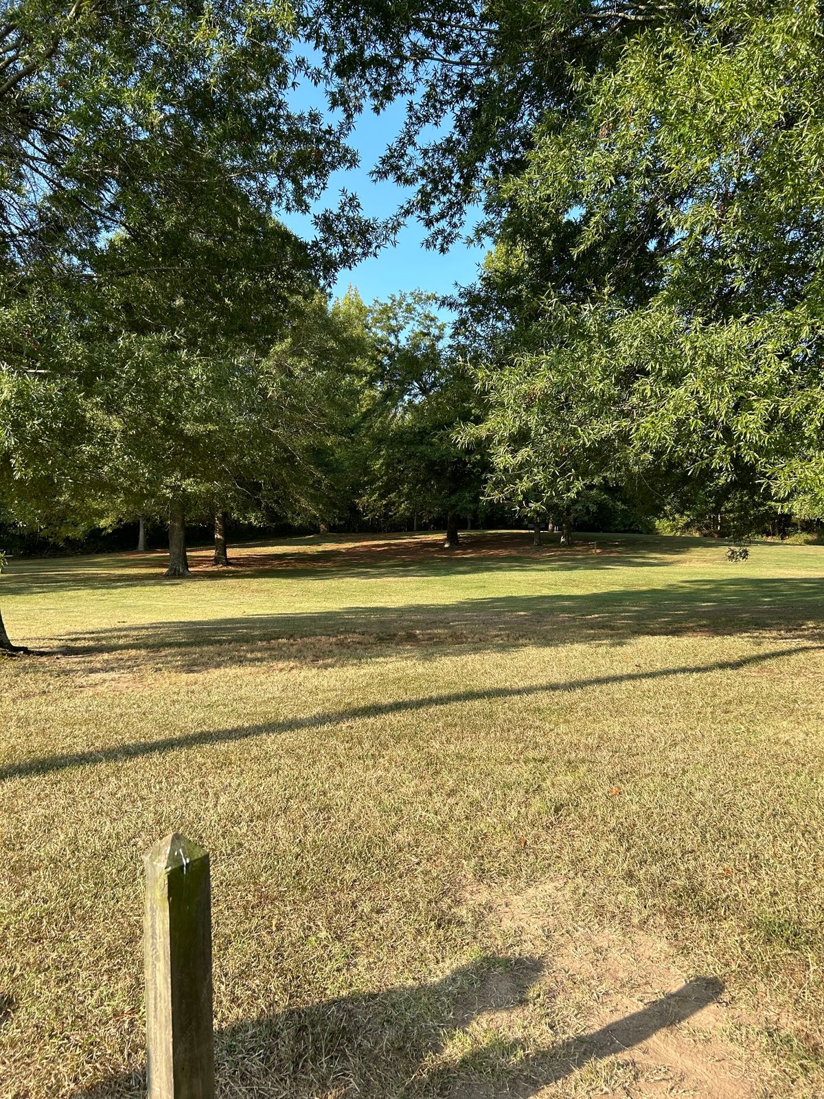 Hole 4 Tee