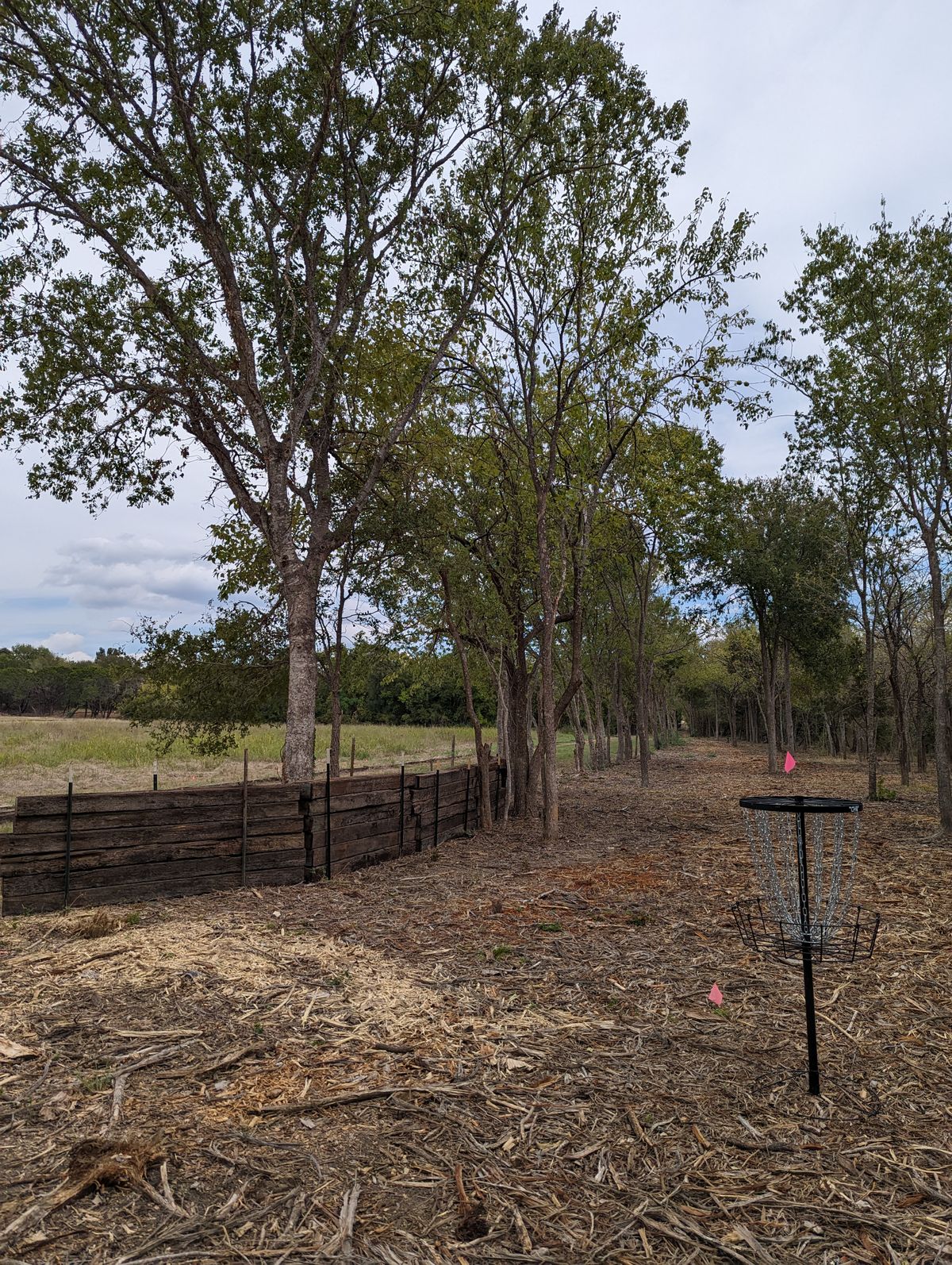 Hole 11 Basket