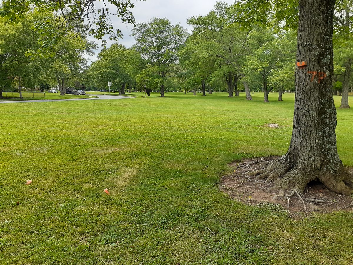 Hole 6 tee