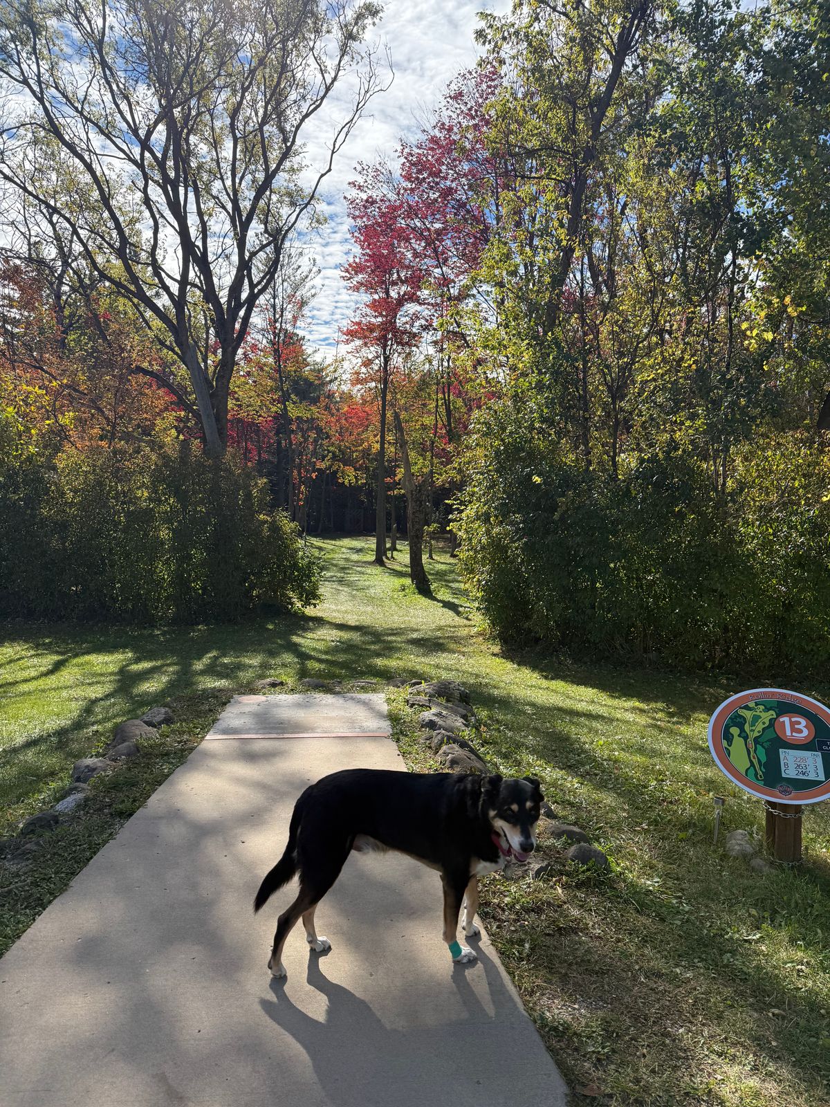 Hole 13