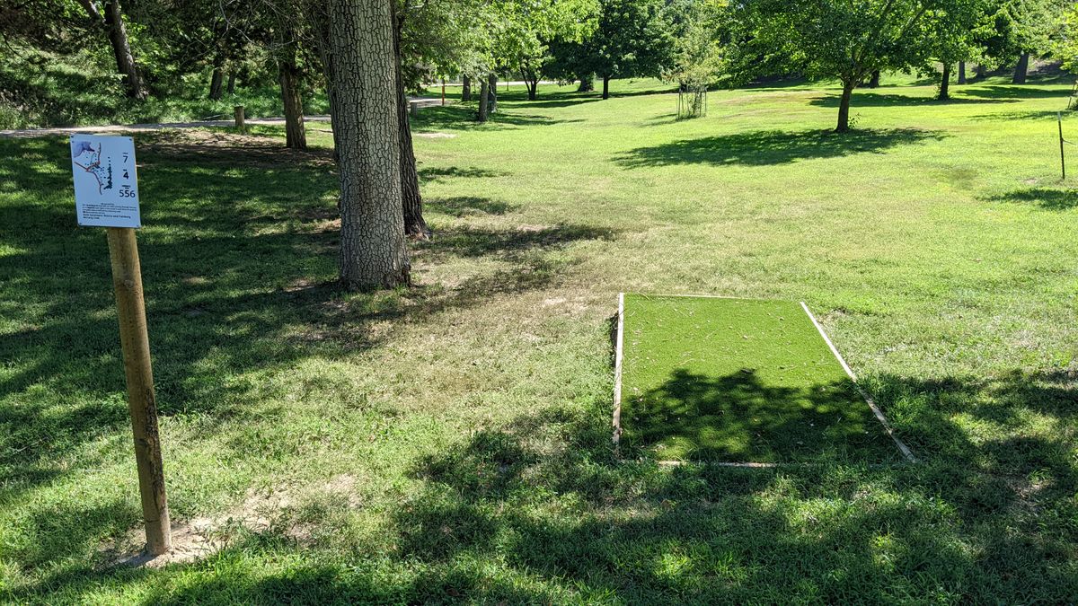 Tee #7