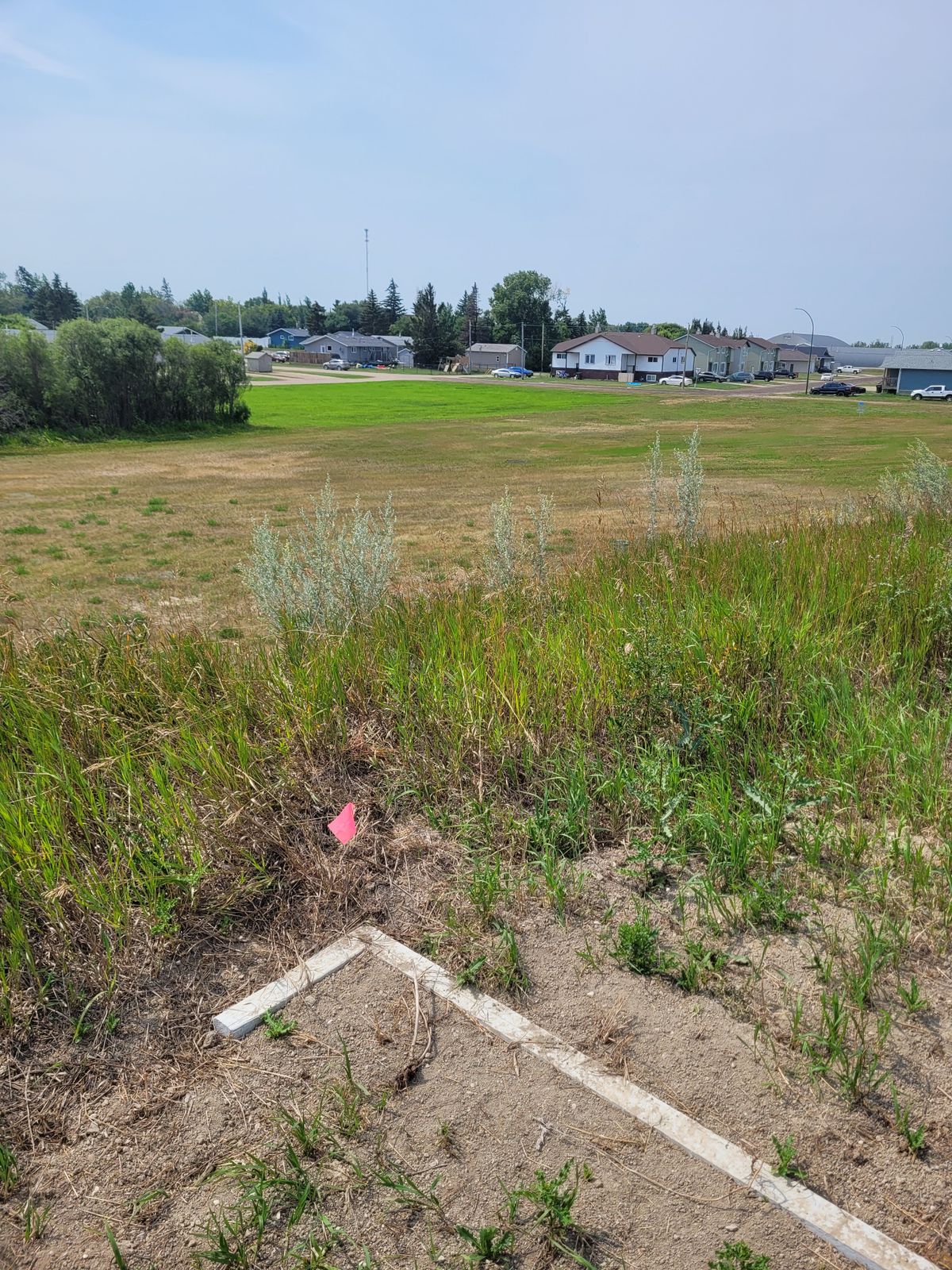 Tee #3 on top of hill right beside basket #2