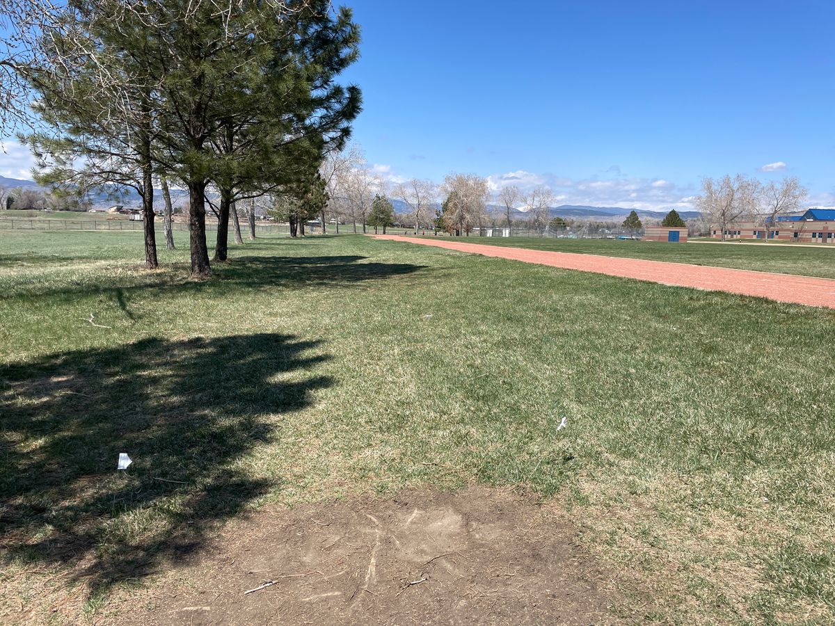 #4 tee