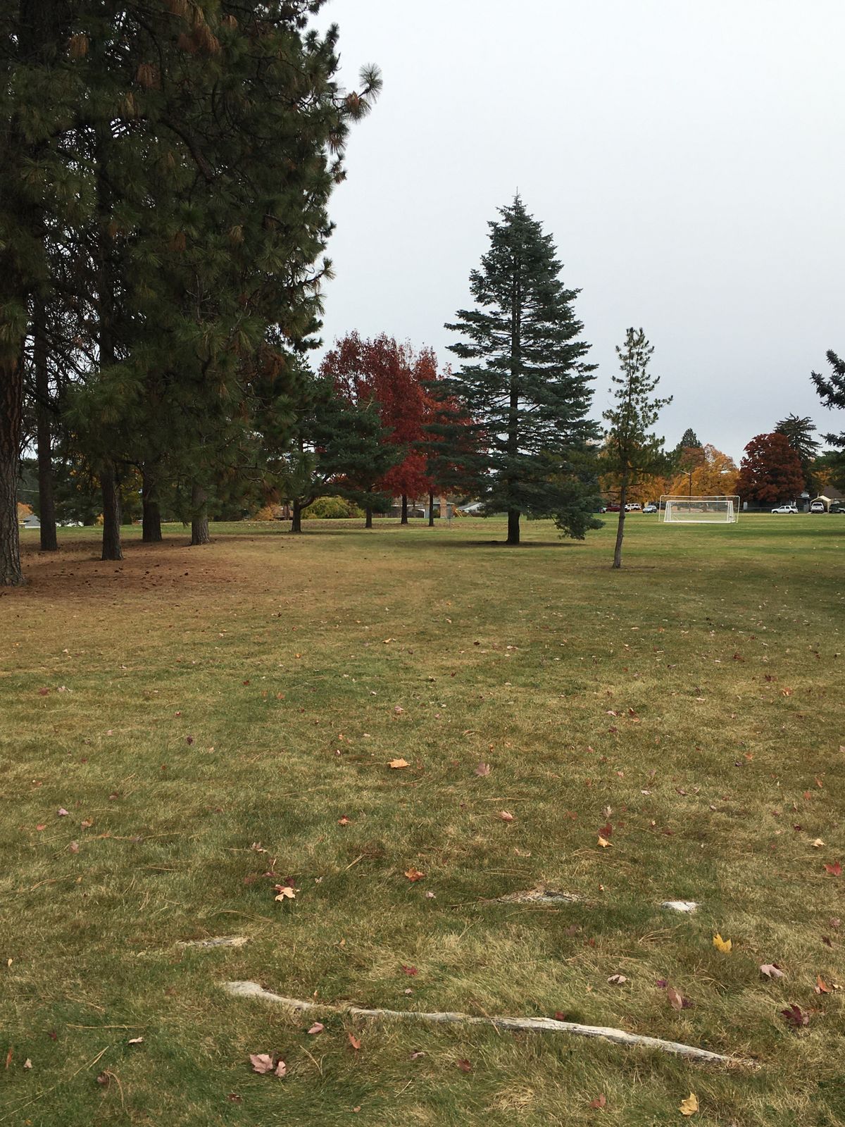 View from tee box of hole 6 (9 hole layout)