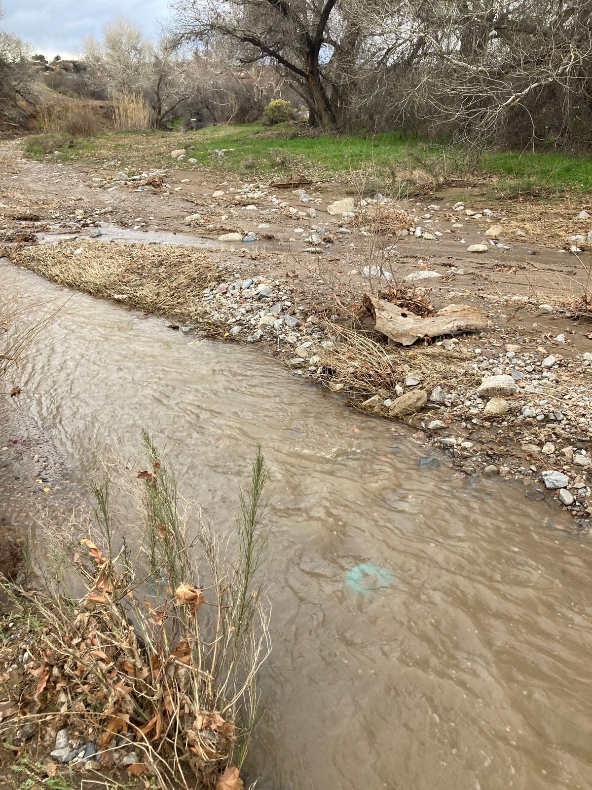 Be careful when the creek is running. The Pinal mountains have a direct watershed intot his creek.