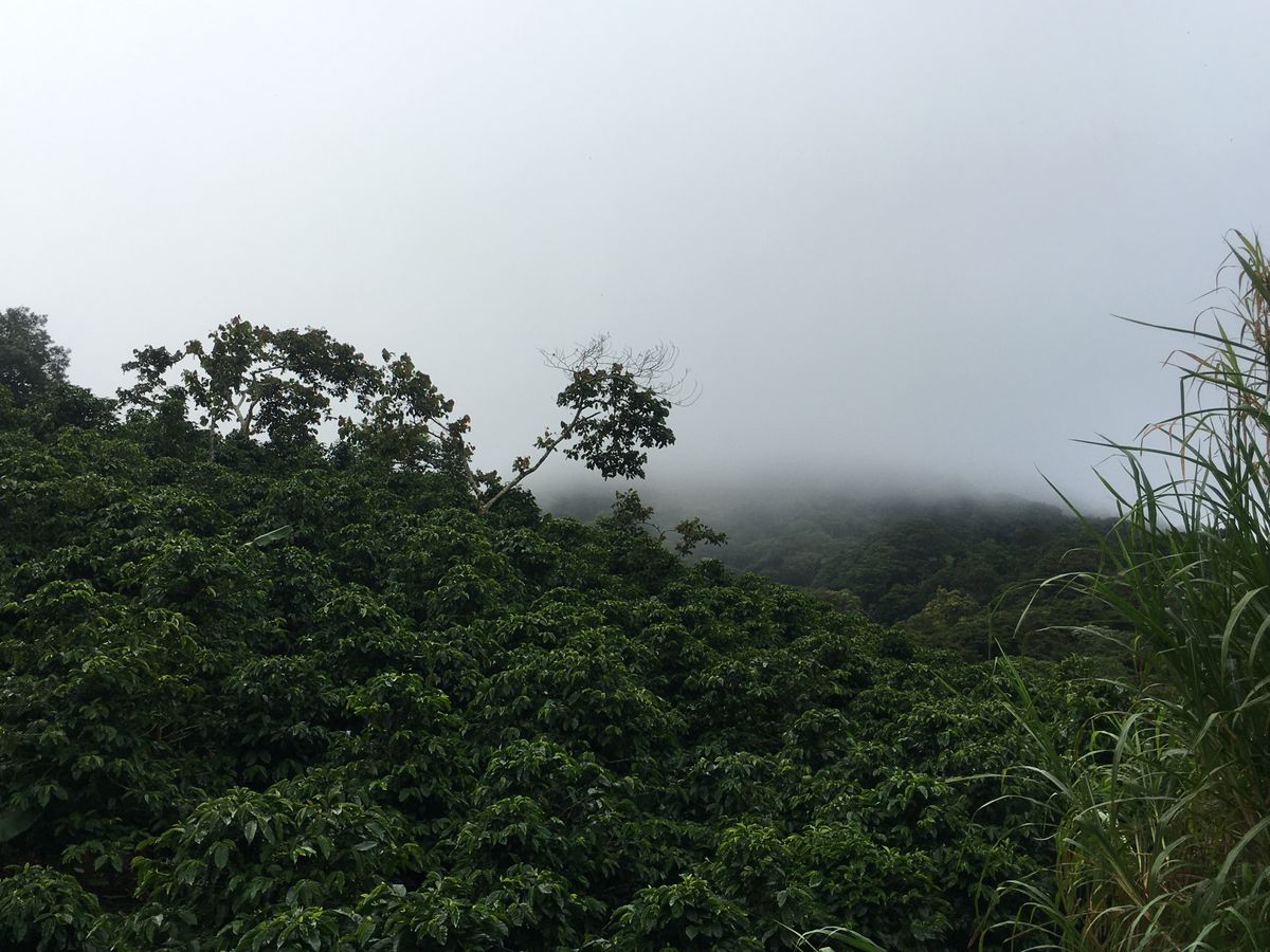 View from Hole 7