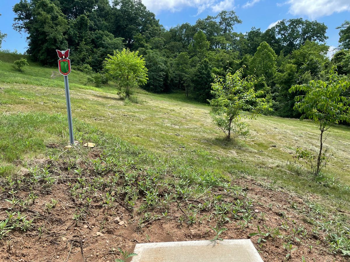 Red Tee, Opening in woods straight ahead, then slight dogleg Right.  Basket 100' inside woods