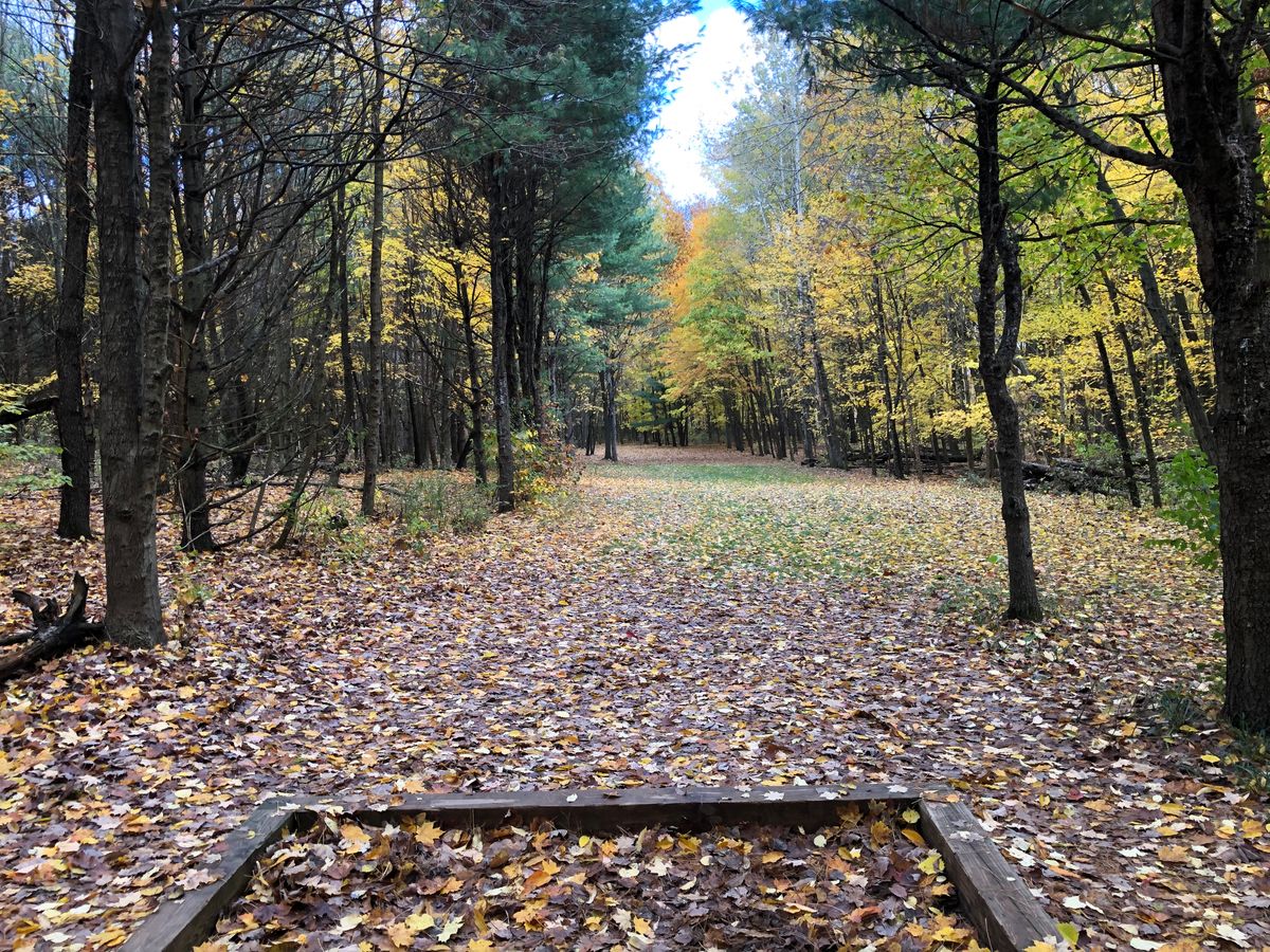 Hole 10 short teepad