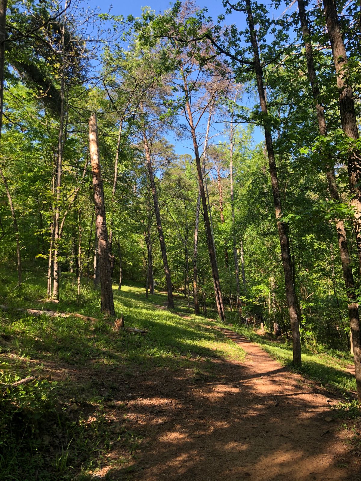Hole 11