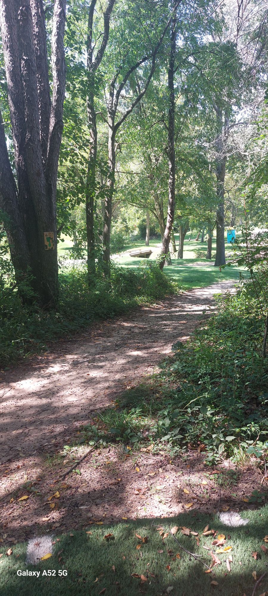 Hole #6
