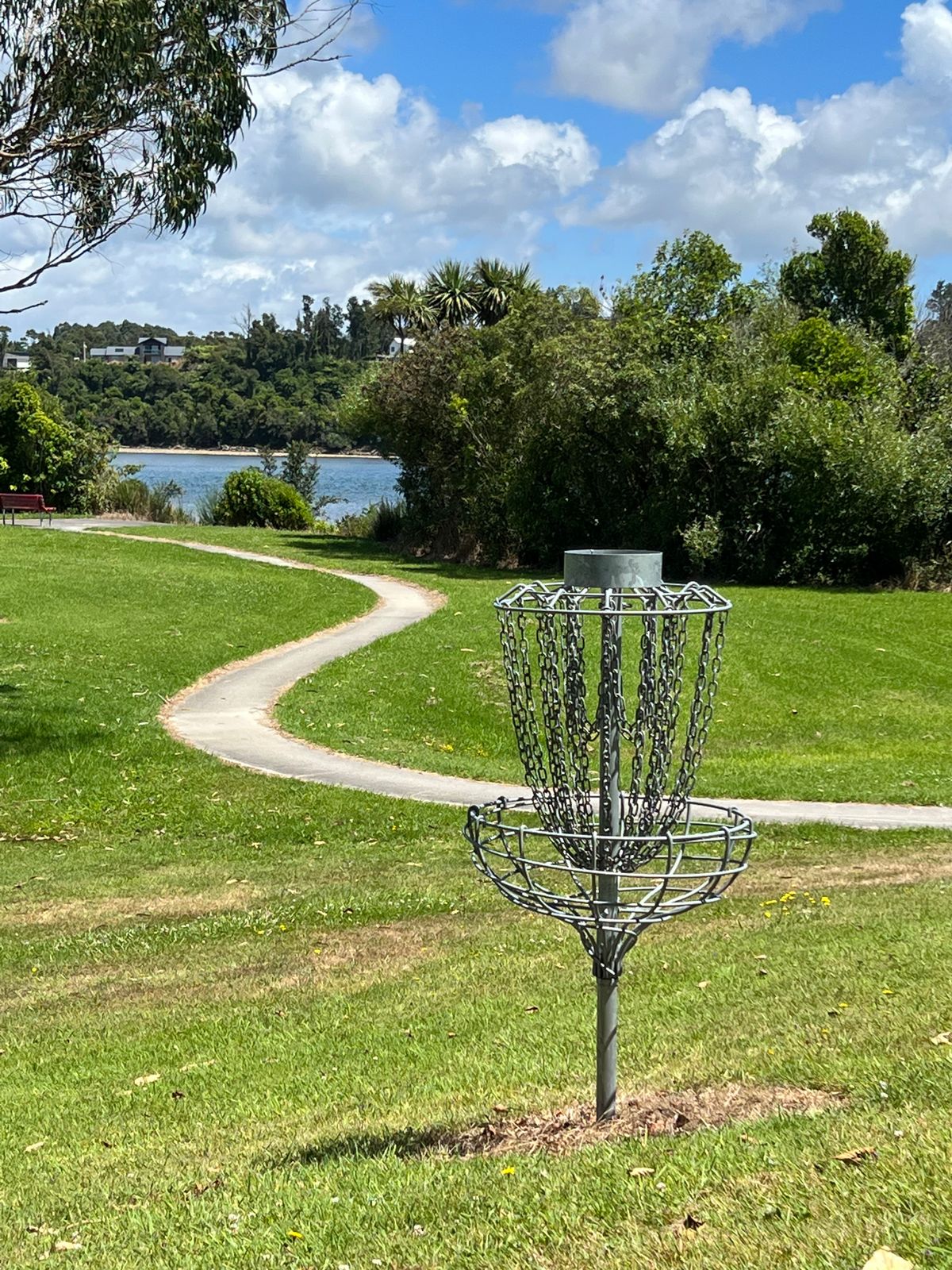 Basket and line for hole 5 up the slope toward the road and bridge