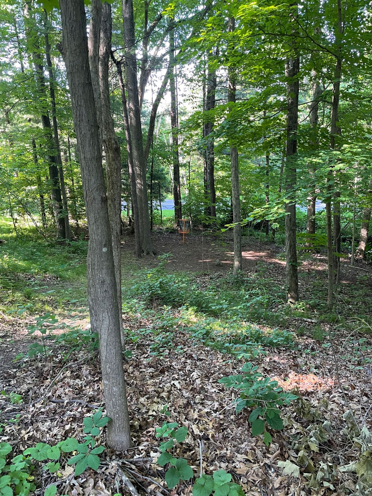 Hole 1
